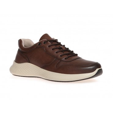 Кроссовки мужские К.Кожа Арт: FL96_XA21053-T_BROWN "FL96_XA21053-T_BROWN" 1