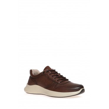 Кроссовки мужские К.Кожа Арт: FL96_XA21053-T_BROWN "FL96_XA21053-T_BROWN" 3