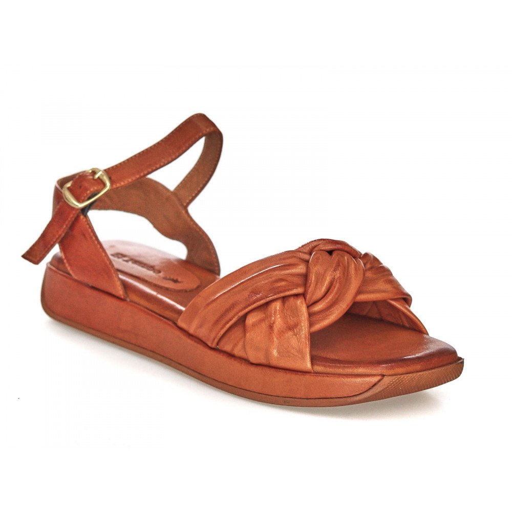 TDM11_SKY211-BROWN "TDM11_SKY211-BROWN" 1