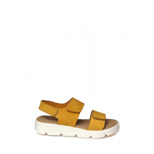 EAD11_2434_OCRE "EAD11_2434_OCRE" 3